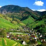 schwarzwald.jpg