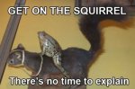 getonthesquirrell.jpg