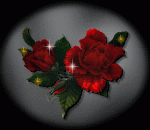 53940.gif