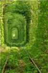 6 May you know God's presence with you through each tunnel.jpg 6 May you know God's presence with you through each tunnel.jpg