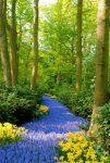 15 and fill you with amazement at the beauty He provides along the way.jpg 15 and fill you with amazement at the beauty He provides along the way.jpg