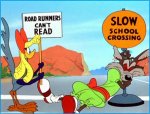 road-runner-4.jpg