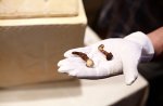 360_jesus_nails_0412.jpg