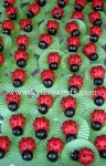 ladybug.jpg ladybug.jpg