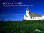 cc_wall06095_800.jpg cc_wall06095_800.jpg