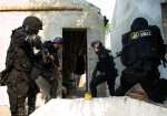 swat-100435343-large.idge.jpg