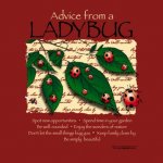 156_advicefromaladybug_closeup_300.jpg