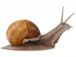 Fotolia_15336195_Serhiy_Kobyakov_web.jpg Fotolia_15336195_Serhiy_Kobyakov_web.jpg
