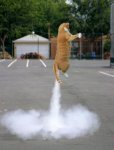 rocket cat.jpg