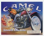camel.jpg