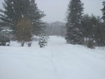 IMG_9227.jpg IMG_9227.jpg