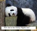 weary pilgrim.jpg weary pilgrim.jpg