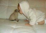 nose to nose.jpg