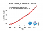 co2_data_mlo.png