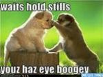 puppy.jpg