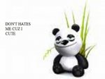 panda.jpg