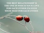 991b0ec8d40ef1cc6a46544a38b82525.jpg