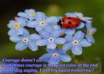 After-The-Rain-ladybugs-18267733-640-640[1].jpg