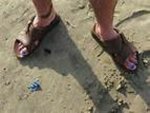 toenails.jpg