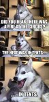 funny-pictures-fire-at-the-circus-pun-dog.jpg