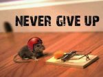 Monday-Quotes.jpg Monday-Quotes.jpg