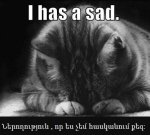 sadkitty.jpg