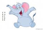 elephant01.jpg