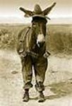 donkey.jpg