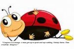 buggz.jpg