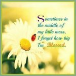 b3e03d45ffee8d51be64e759c369d2a9.jpg