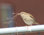 IMG_0231.JPG