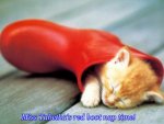 cute-orange-kitten-sleeping-in-rain-boot[1].jpg
