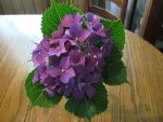 ceresa's pictures 040.JPG