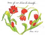romans 14 copy 2.jpg