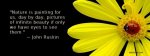 14279-nature-is-painting.jpg
