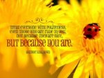 b6ba5a24eef0c4dc0d8bc457861abb87.jpg