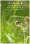 Feel-good-quotes-04a.jpg