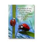 Ladybug-Philosophy.jpg