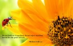 mj-do-not-hold-on-to-sunflower-lady-bug-quote-1.jpg