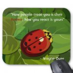 ladybug_karma_mousepad-r7a870b51e98f4f3785a5619aeef3e756_x74vi_8byvr_324.jpg