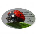 Ladybug Hug.jpg
