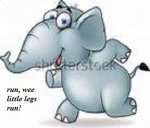 elephanrt.jpg