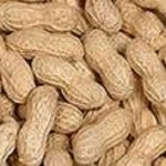 peanut.jpg