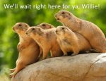 willie.jpg