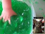 jello.jpg