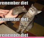 Remember Diet.jpg