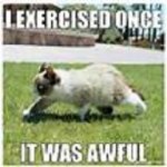 exercise.jpg exercise.jpg