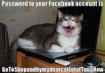 FB Password.jpg