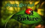 5c635f93be322eeecf4e16362936d2db.jpg