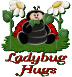 Ladybug Hugs.gif
